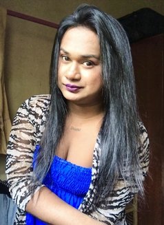 Zaara( Cam Session Available) - Transsexual escort in Colombo Photo 14 of 14