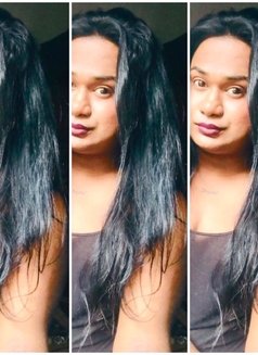 Zaara( Cam Session Available) - Transsexual escort in Colombo Photo 13 of 18