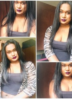 Zaara( Cam Session Available) - Transsexual escort in Colombo Photo 15 of 18