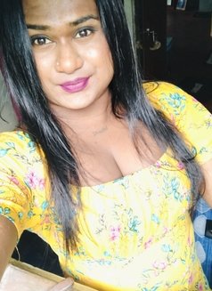 Zaara( Cam Session Available) - Acompañantes transexual in Colombo Photo 19 of 19