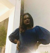 Zaara( Cam Session Available) - Transsexual escort in Colombo