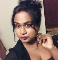 Zaara( Cam Session Available) - Transsexual escort in Colombo