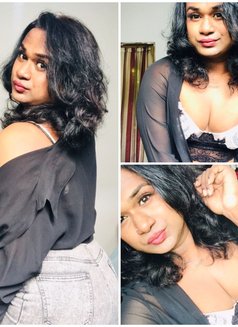 Zaara( Cam Session Available) - Acompañantes transexual in Colombo Photo 3 of 14
