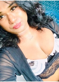 Zaara( Cam Session Available) - Acompañantes transexual in Colombo Photo 4 of 14