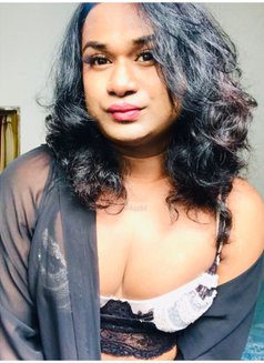 Zaara( Cam Session Available) - Acompañantes transexual in Colombo Photo 5 of 14