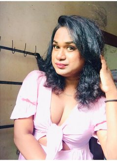 Zaara( Cam Session Available) - Acompañantes transexual in Colombo Photo 6 of 14