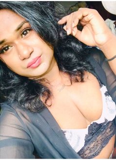 Zaara( Cam Session Available) - Acompañantes transexual in Colombo Photo 7 of 14