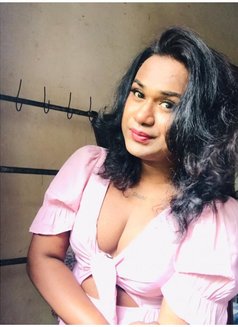 Zaara( Cam Session Available) - Acompañantes transexual in Colombo Photo 8 of 14