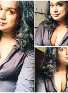 Zaara( Cam Session Available) - Acompañantes transexual in Colombo Photo 11 of 14
