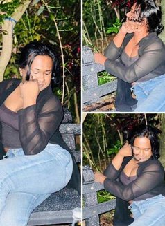Zaara( Cam Session Available) - Acompañantes transexual in Colombo Photo 14 of 14