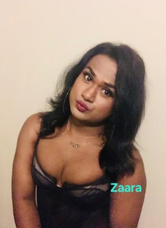 Zaara( Cam Session Available) - Transsexual escort in Colombo Photo 7 of 9