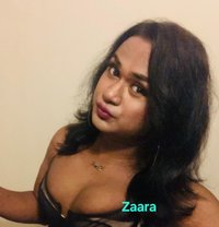 Zaara( Cam Session Available) - Transsexual escort in Colombo