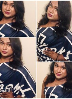 Zaara( Cam Session Available) - Transsexual escort in Colombo Photo 10 of 10