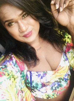 Zaara( Cam Session Available) - Acompañantes transexual in Colombo Photo 14 of 15