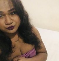 Zaara( Cam Session Available) - Acompañantes transexual in Colombo