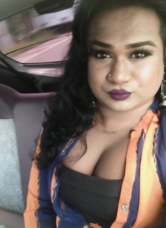 Zaara( Cam Session Available) - Transsexual escort in Colombo Photo 3 of 13