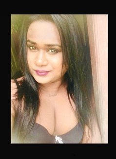 Zaara( Cam Session Available) - Acompañantes transexual in Colombo Photo 11 of 13