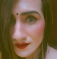 Zaara H - Acompañantes transexual in Gurgaon