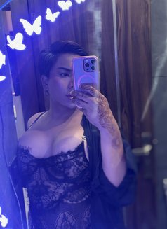 Zack Ladyboy Thai in New Delhi 🇹🇭 - masseuse in New Delhi Photo 12 of 12
