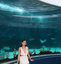 Zafira - Transsexual escort in Cebu City