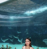 Zafira - Transsexual escort in Cebu City