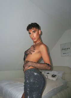 Zahia Luxury - Acompañantes transexual in Dubai Photo 10 of 20