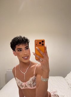 Zahia Luxury - Transsexual escort in Paris Photo 13 of 20