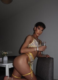 Zahia Luxury - Transsexual escort in Paris Photo 18 of 20