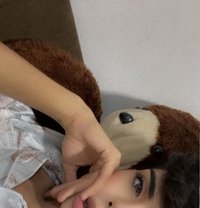 نجم التونسي - Acompañantes masculino in Muscat