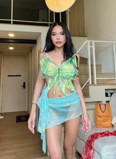 Zalliepatt - Transsexual escort in Nakhon Ratchasima Photo 12 of 12