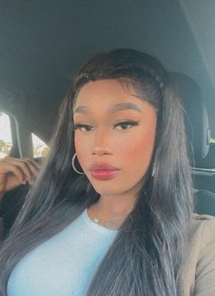 Zamara - Transsexual escort in Barcelona Photo 6 of 19