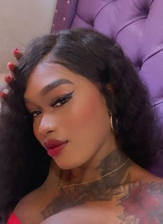 Zamara - Transsexual escort in Barcelona Photo 10 of 19