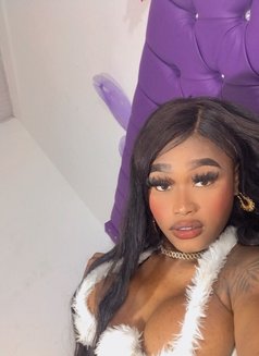 Zamara - Transsexual escort in Barcelona Photo 14 of 19