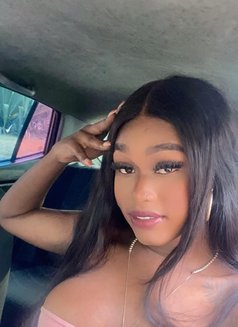 Zamara - Transsexual escort in Barcelona Photo 18 of 19