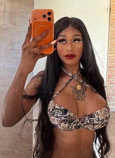 ZAMARA - Transsexual escort in Barcelona Photo 1 of 3