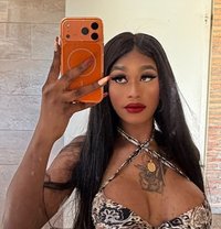 ZAMARA - Transsexual escort in Barcelona