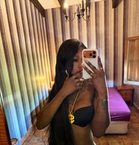 ZAMARA - Transsexual escort in Barcelona