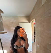 ZAMARA - Transsexual escort in Barcelona