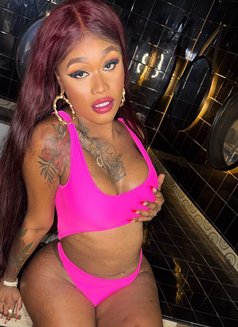 ZAMARA - Transsexual escort in Barcelona Photo 2 of 8