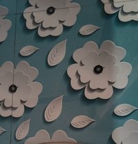 Zamp - Male companion in Mumbai