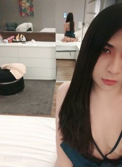ZANDY in juffair - Transsexual escort in Al Manama Photo 9 of 13
