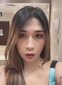 ZANDY in khonar - Transsexual escort in Khobar Photo 8 of 10