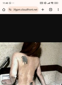 ZANDY in azaiba - Transsexual escort in Muscat Photo 6 of 7