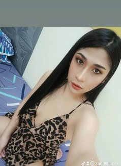 ZANDY in azaiba - Transsexual escort in Muscat Photo 7 of 7