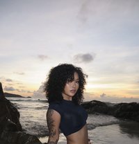 Zandy - escort in Phuket