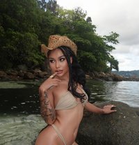 Zandy - puta in Phuket Photo 3 of 6