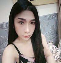 Zandy24both69 - Transsexual escort in Al Sohar