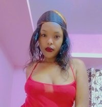 Zani Real meet, cam shows,Cim ,Cob,Bbj - escort in Bangalore