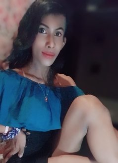 Zanra 8"XL (best cam tranny) - Transsexual escort in Colombo Photo 6 of 19