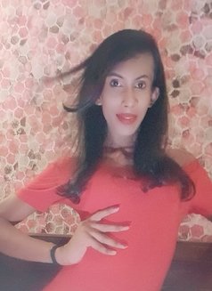 Zanra 8"XL (best cam tranny) - Transsexual escort in Colombo Photo 10 of 19
